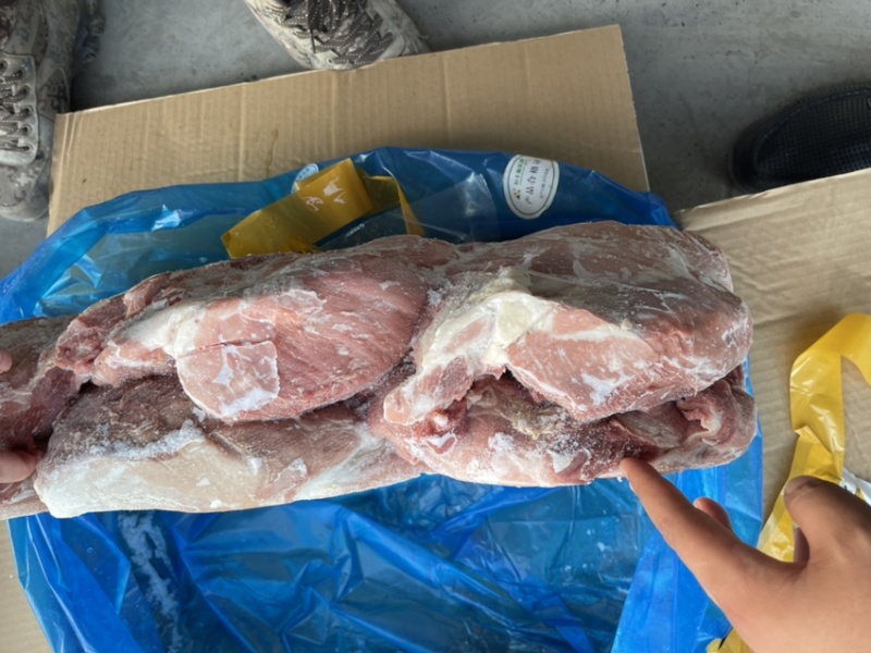 母猪-前驳-质量如图纯干货-每天生产-随时支持老板看货