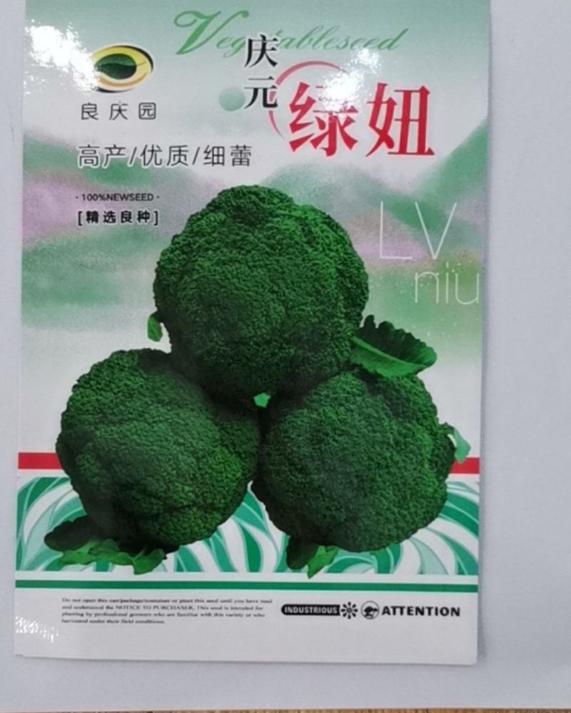 绿妞西兰花，是个春季播种西兰花，中晚熟，抗性好，不易空心