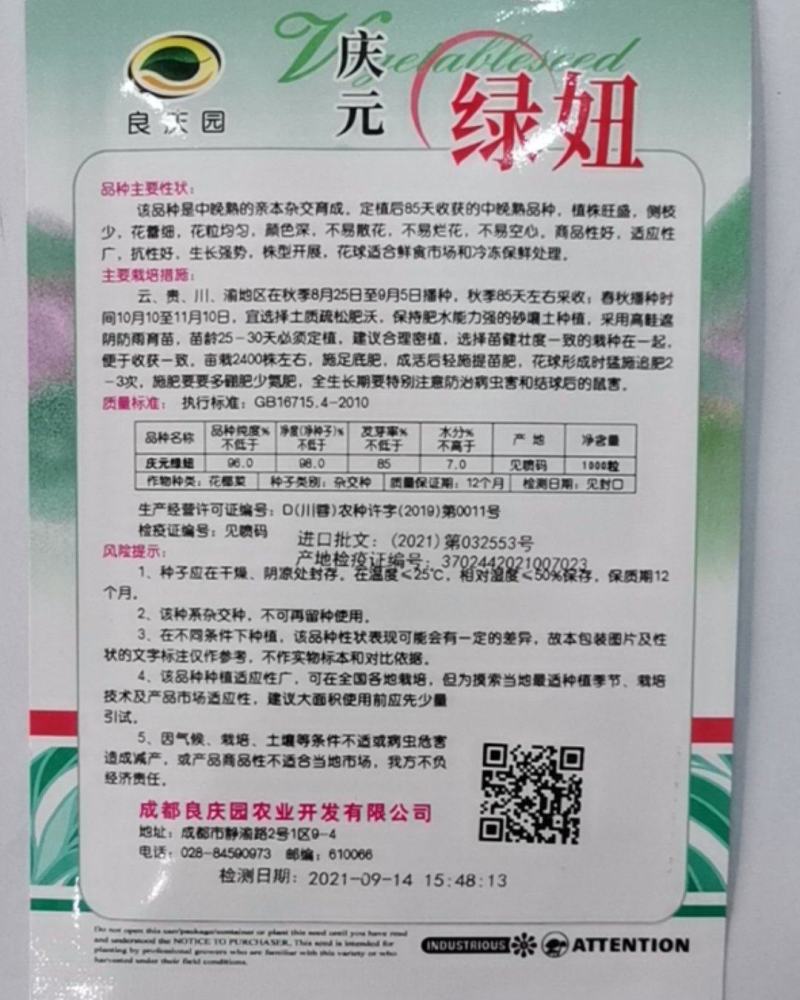 绿妞西兰花，是个春季播种西兰花，中晚熟，抗性好，不易空心