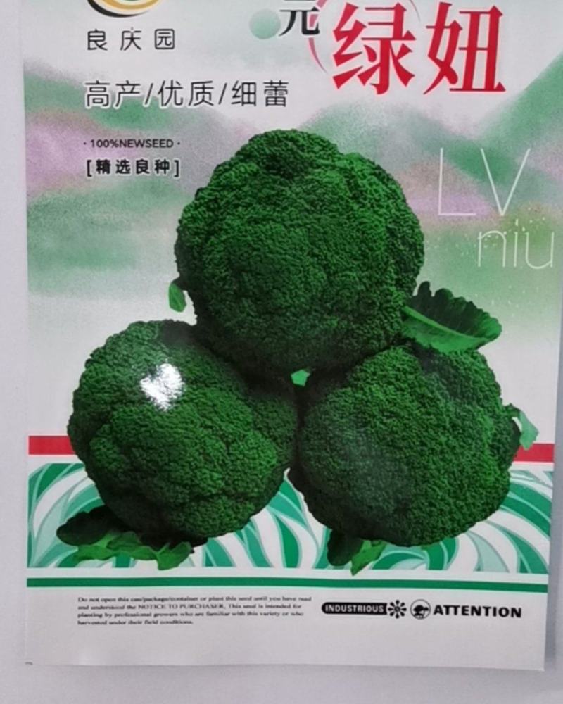 绿妞西兰花，是个春季播种西兰花，中晚熟，抗性好，不易空心