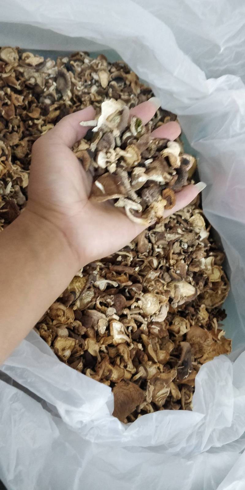野生香菇，和种植的区别相差大，味道鲜香。