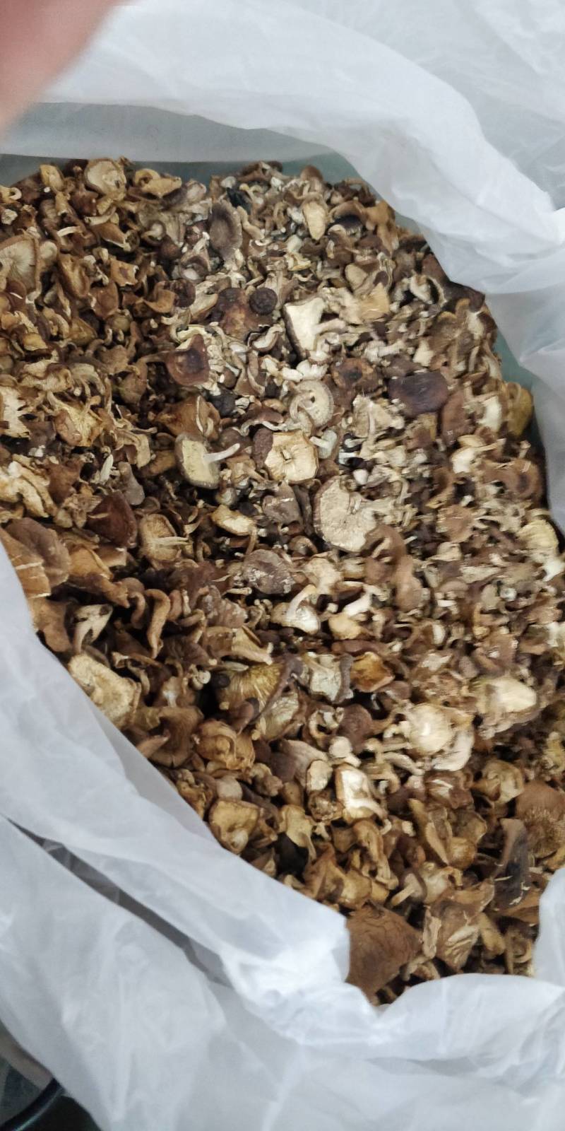 野生香菇，和种植的区别相差大，味道鲜香。