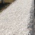 茯苓松茯苓，茯苓丁