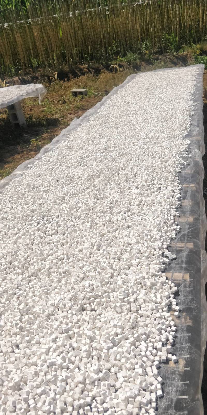 茯苓松茯苓，茯苓丁