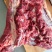 蒙古马肉五分体蒙古马肉活马吊宰，精修去油当天发新鲜