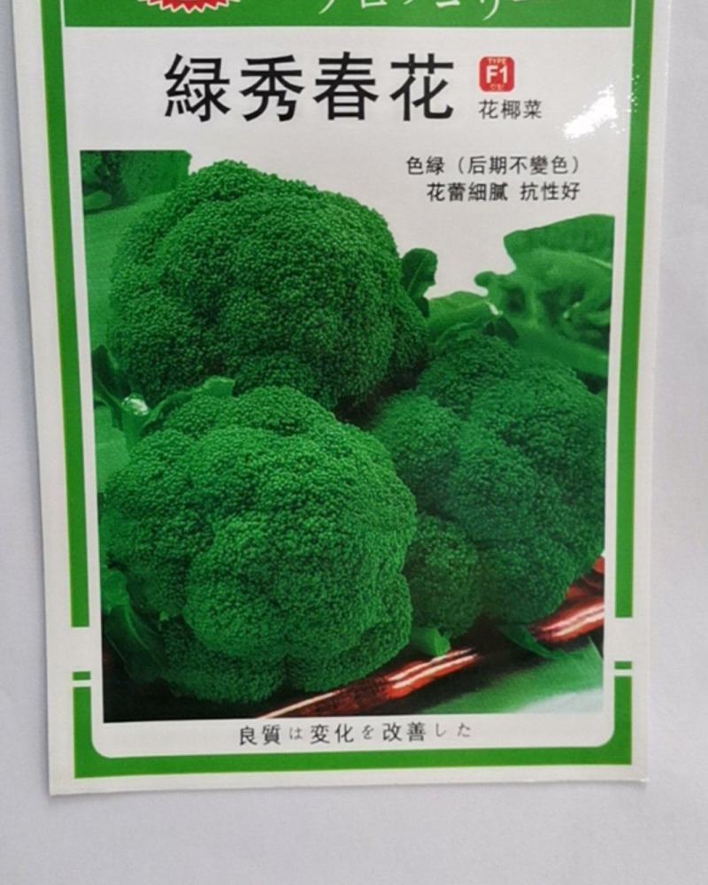 绿秀春花，是个春季播种西兰花，中晚熟，抗性好，颜色漂亮花