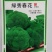 绿秀春花，是个春季播种西兰花，中晚熟，抗性好，颜色漂亮花