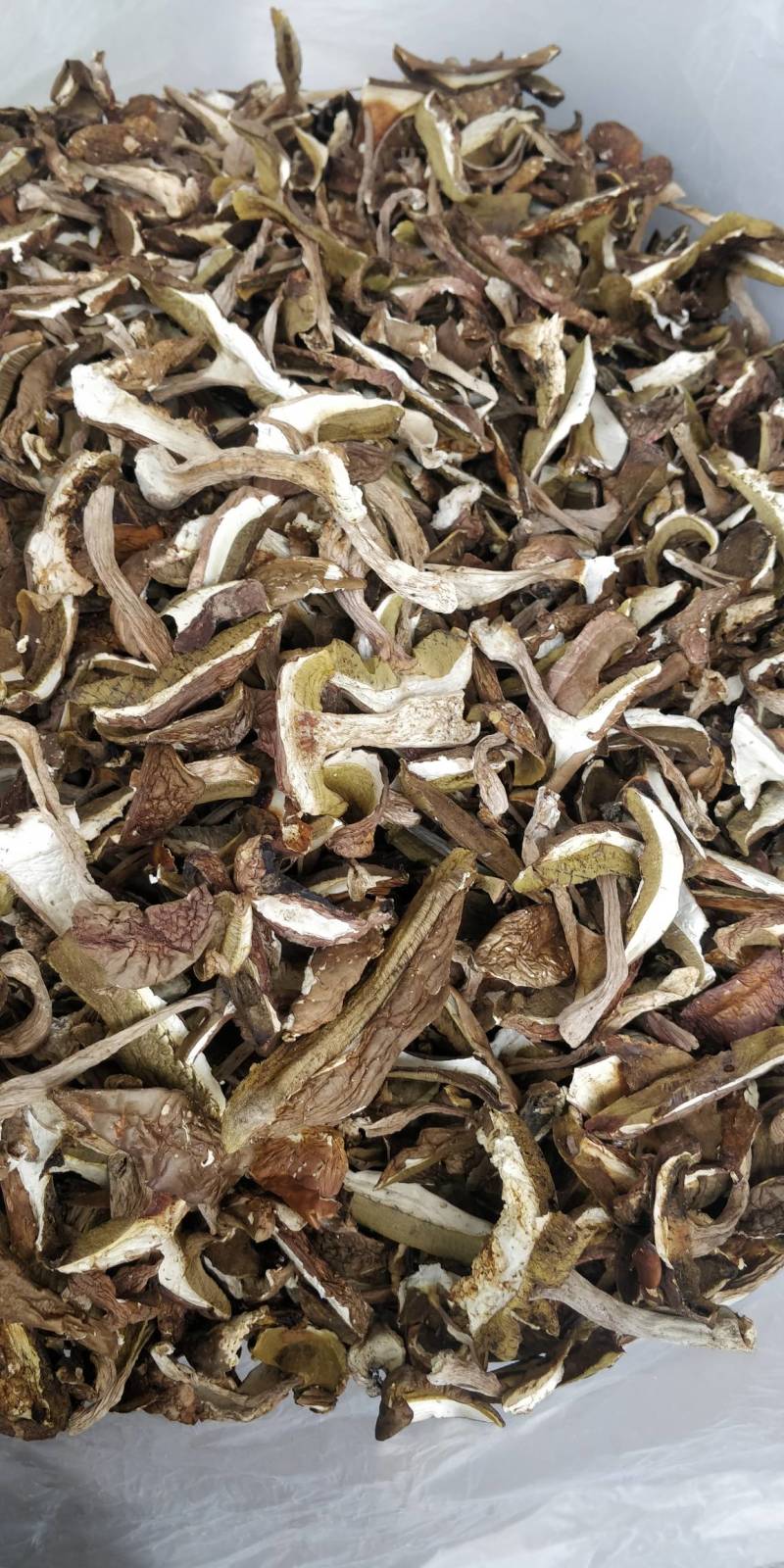 牛肝菌