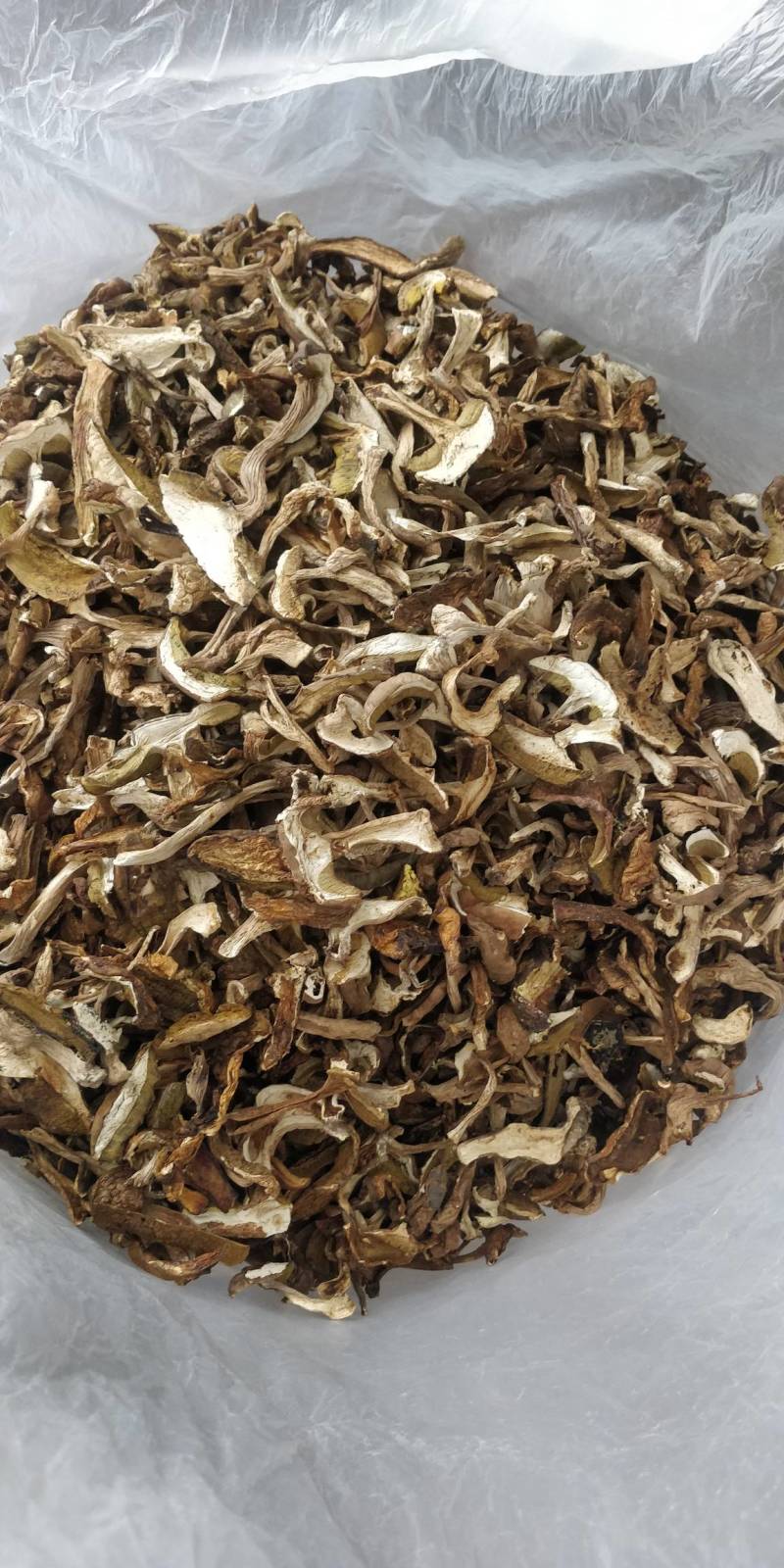 牛肝菌