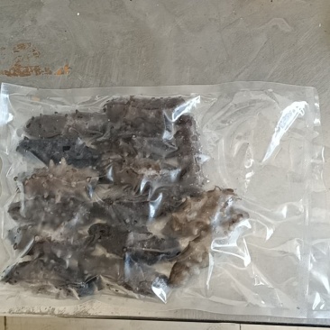 辽宁大连海参海参加工过程产生的断参，加工过程产生的