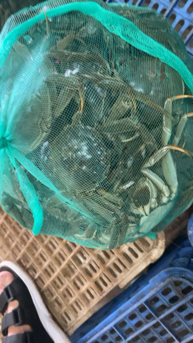 洪湖市精品清水大闸蟹，一手货源，死蟹包赔，可混批