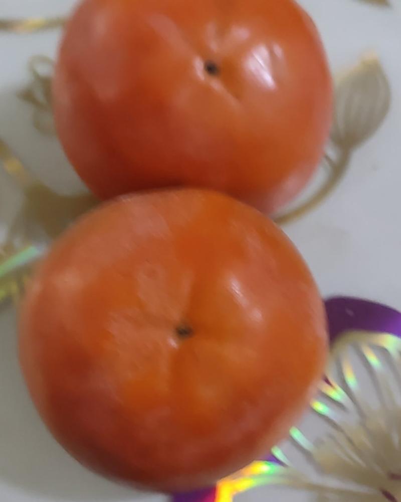 洋丰柿子，日本柿子，脆柿子