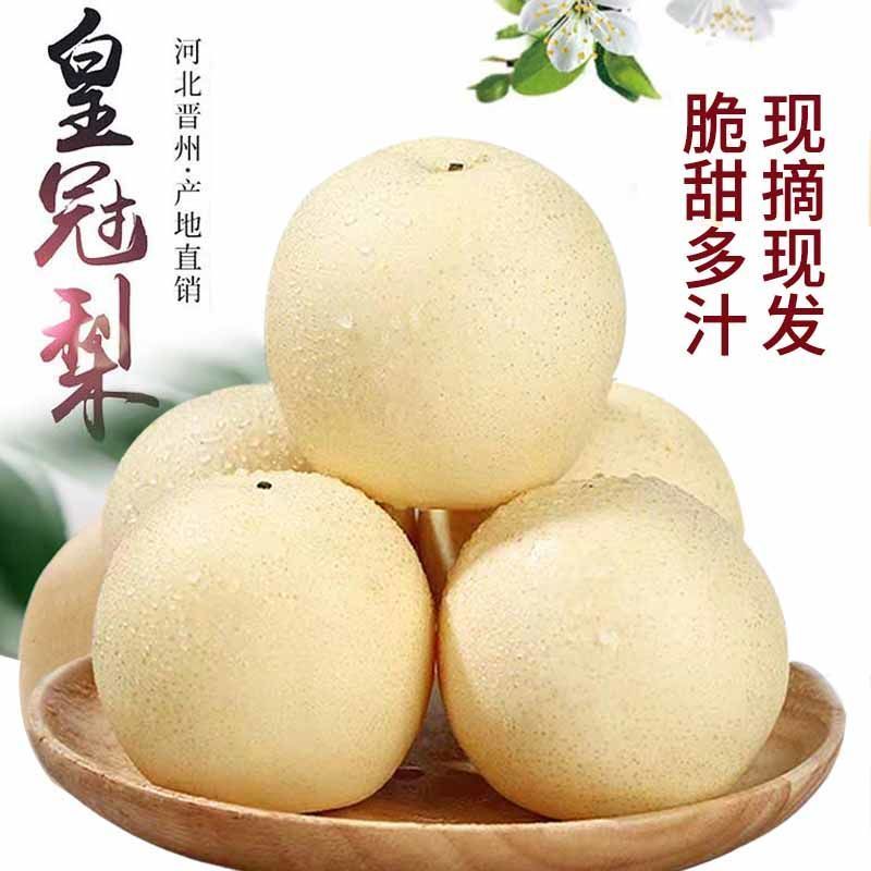 【热销皇冠梨】皇冠梨河北赵县皇冠梨基地供应