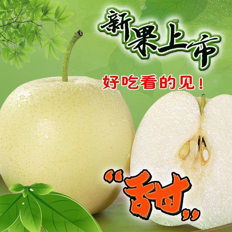 【热销皇冠梨】皇冠梨河北赵县皇冠梨基地供应
