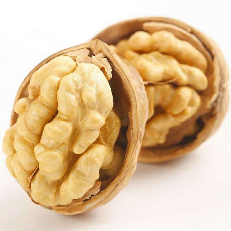2021新货山西薄皮核桃纸皮核桃产地发货