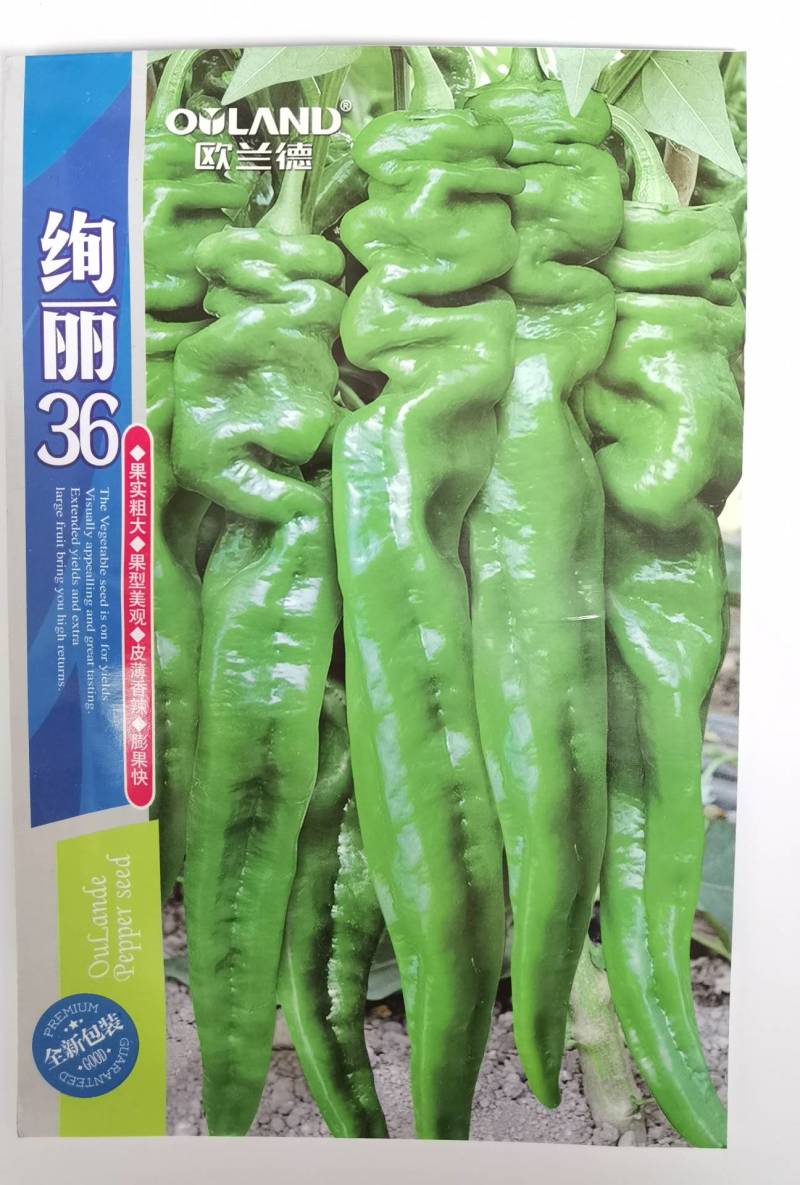 高品质！绚丽36螺丝椒种子早熟耐低温皮薄肉厚辣椒种子