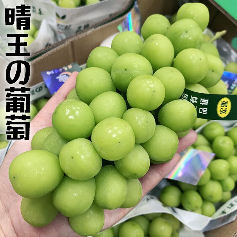 云南阳光玫瑰5斤葡萄水果新鲜香印青提无籽晴王提子现采现摘
