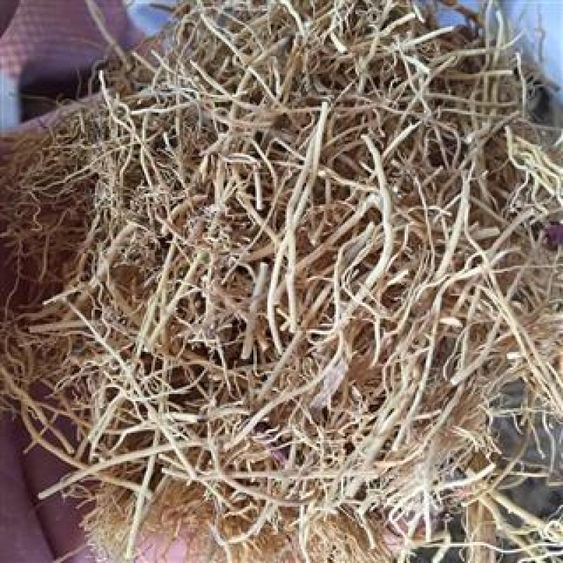 细辛，辽细辛新货水洗无硫各种规格供应千余种中药材欢迎购买