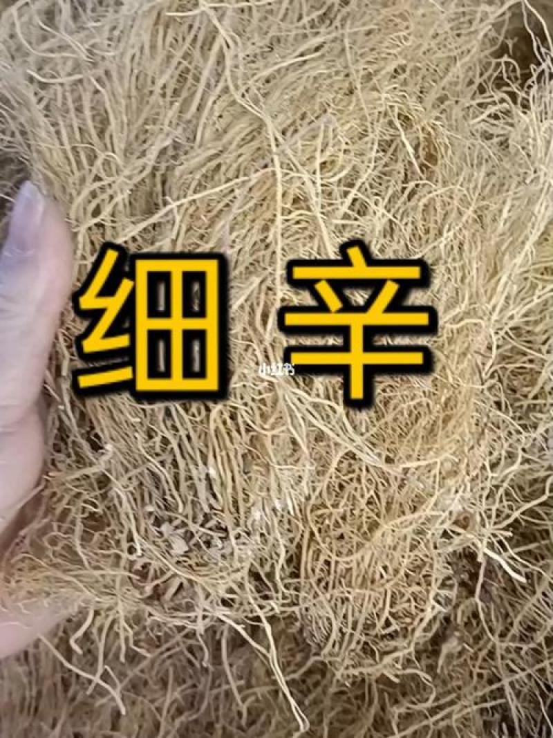 细辛，辽细辛新货水洗无硫各种规格供应千余种中药材欢迎购买
