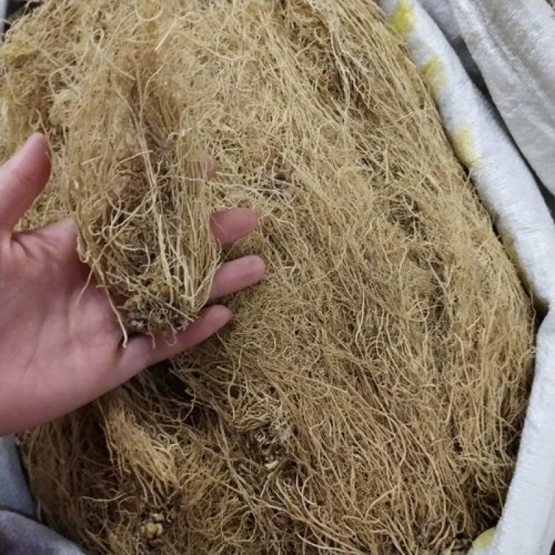 细辛，辽细辛新货水洗无硫各种规格供应千余种中药材欢迎购买