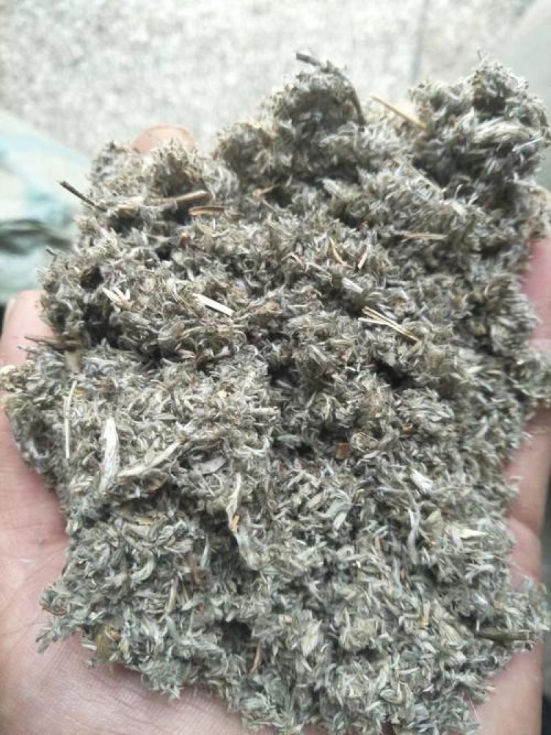 茵陈，绵茵陈新货无硫野生现货供应，欢迎咨询购买！