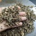 藿香，广藿香片霍香质量保证经营各种中药材，欢迎咨询合作！