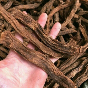 正宗钻山风南苗家特产中草药关节痛坐骨手脚痛中药材泡酒