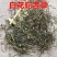 白花蛇舌草，野生白花蛇舌草新货切片干净无杂现货供应！