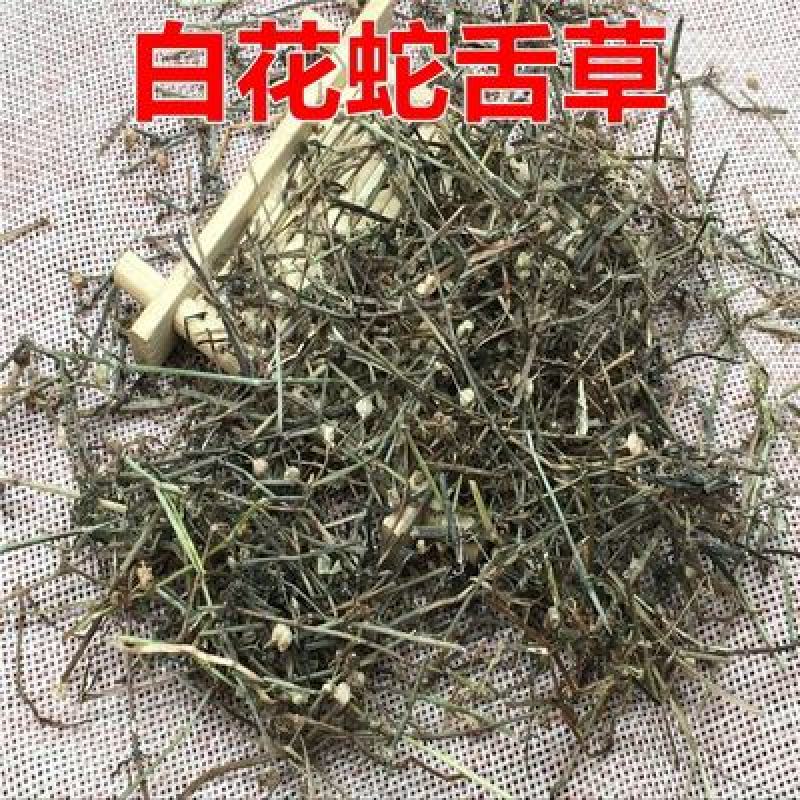 白花蛇舌草，野生白花蛇舌草新货切片干净无杂现货供应！