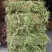 伸筋草，正品伸筋草片，干净无杂质量保证！