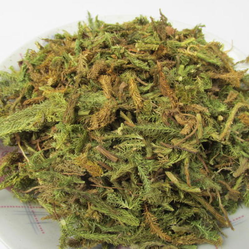 伸筋草，正品伸筋草片，干净无杂质量保证！