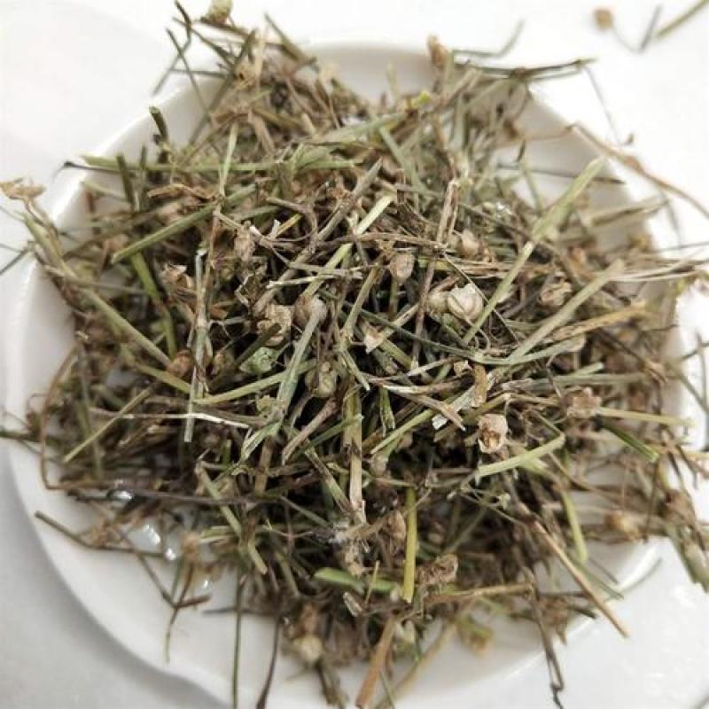 白花蛇舌草，野生白花蛇舌草新货切片干净无杂现货供应！