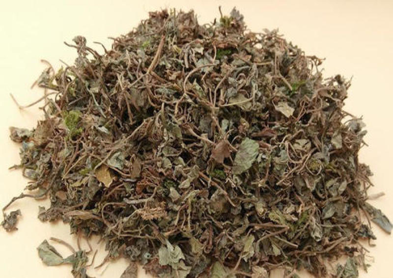 金钱草，小叶金钱草野生新货现货供应中欢迎咨询购买！