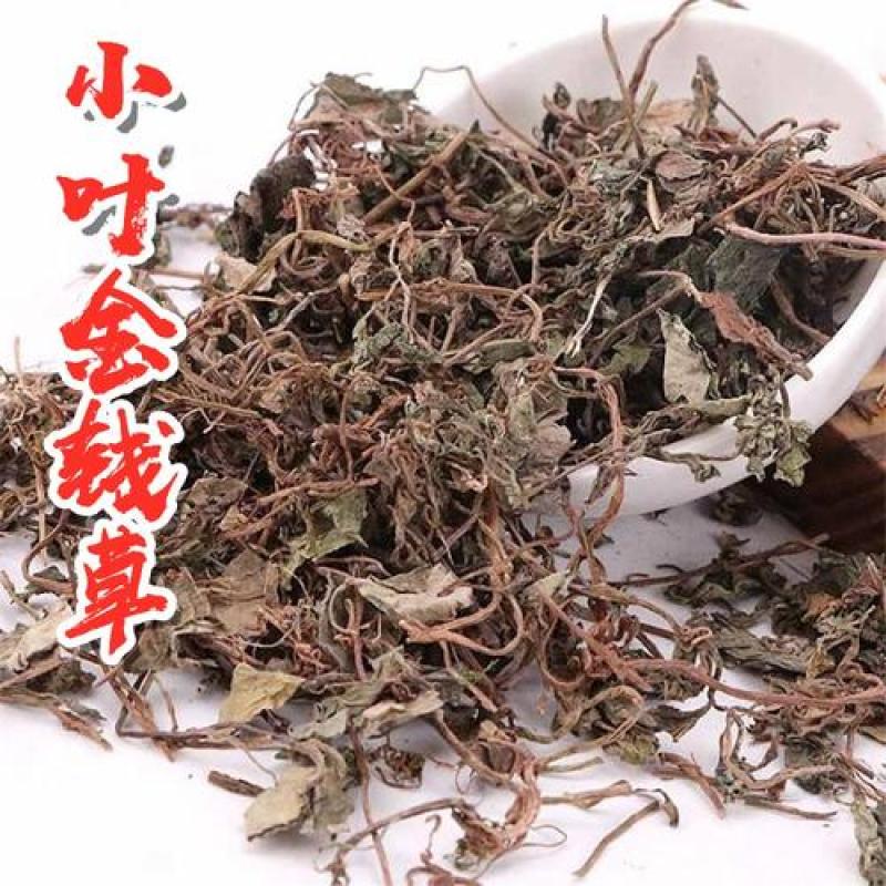 金钱草，小叶金钱草野生新货现货供应中欢迎咨询购买！