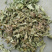 车前草，野生车前草新货切片现货供应中欢迎咨询购买！