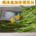 湖北省万亩新鲜泥蒿芦蒿开始提前预订