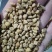 牵牛子，黑白丑野生新货质量保证现货供应欢迎咨询合作！