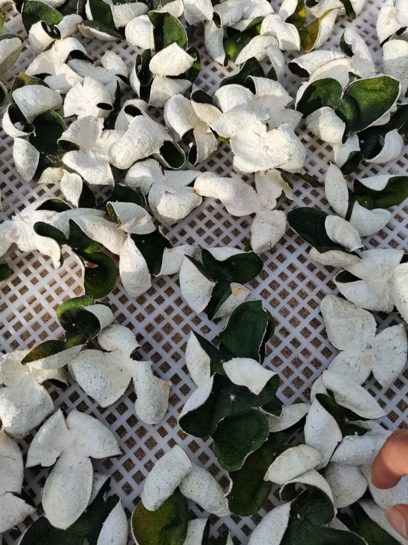 青皮