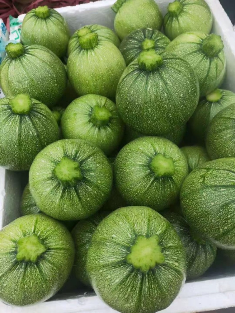 圆南瓜基地一手货源农户种植质量保证