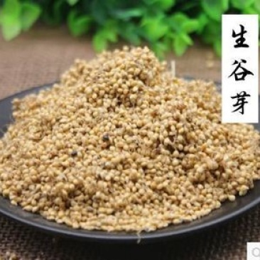 谷芽，中药材谷芽出芽率高质量保证现货供应欢迎咨询合作！