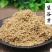 谷芽，中药材谷芽出芽率高质量保证现货供应欢迎咨询合作！