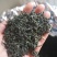 崂山茶