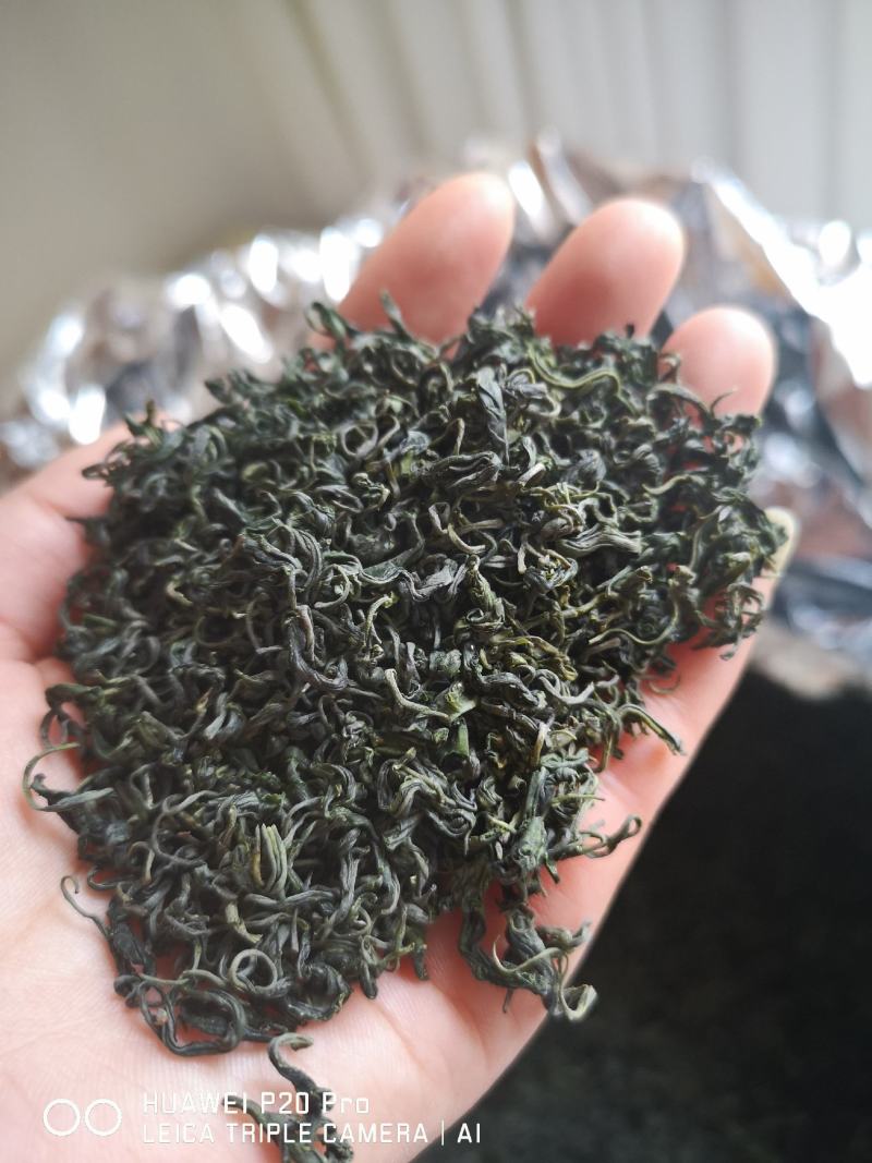 崂山茶
