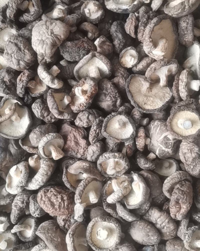 808干香菇