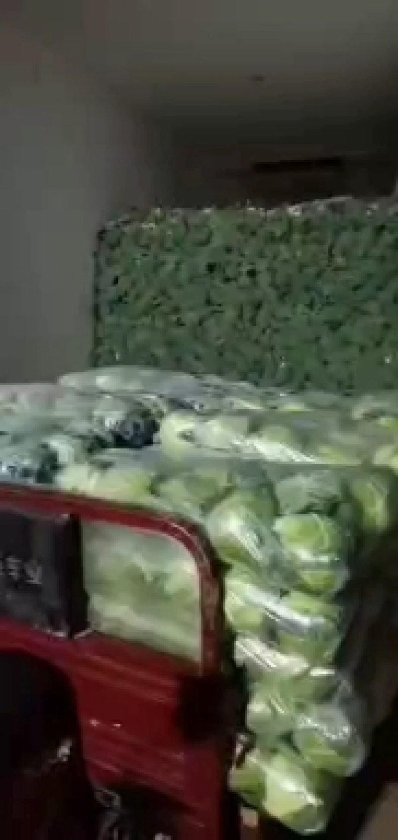甘蓝上市供应中