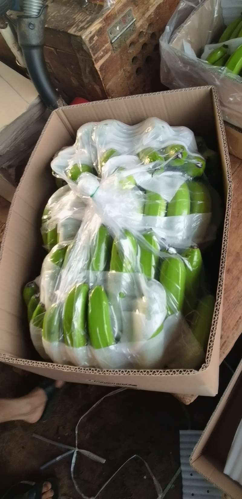 云南金平马安低大量上市中