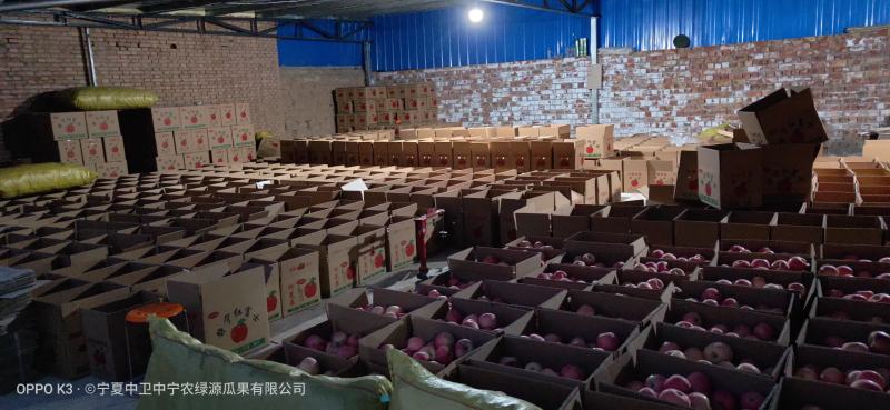 宁夏红富士苹果优质产地,中卫苹果代办代收,诚信第一