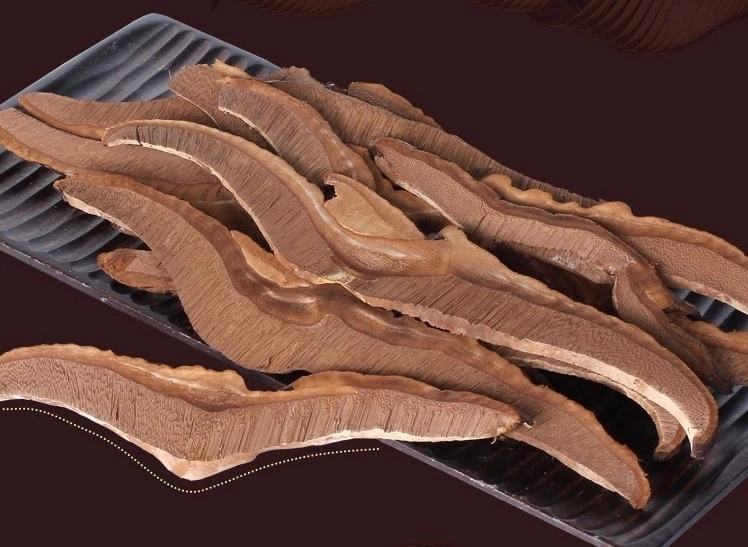 专业切灵芝刀特写：高碳不锈钢刀身，微凹弧形刃口，防滑核桃木手柄，刀尖略上扬便于撬起菌盖