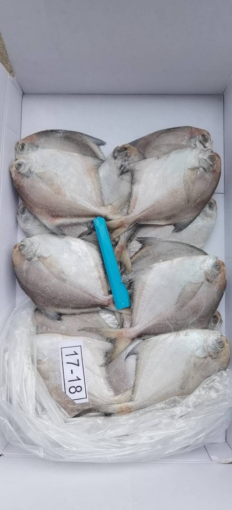 【精品带鱼】水产加工厂厂家，厂家供货，量大批发