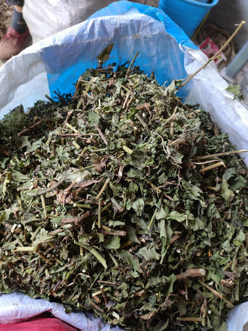 千里光有几吨干货低价出售。
